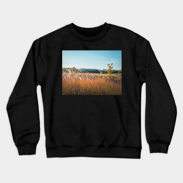 Autumn picturesque landscape Crewneck Sweatshirt by psychoshadow